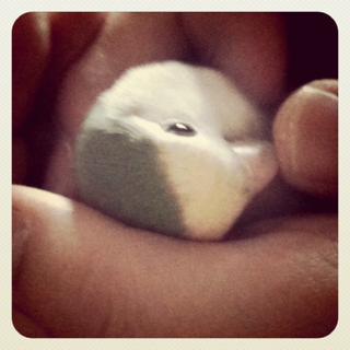 image-20110423105829.png